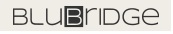 blue bridge technologies